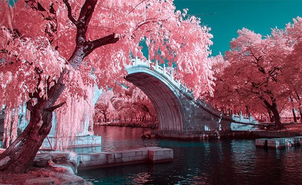 عکاسی فروسرخ مادون قرمز (Infrared Photography) چیست؟