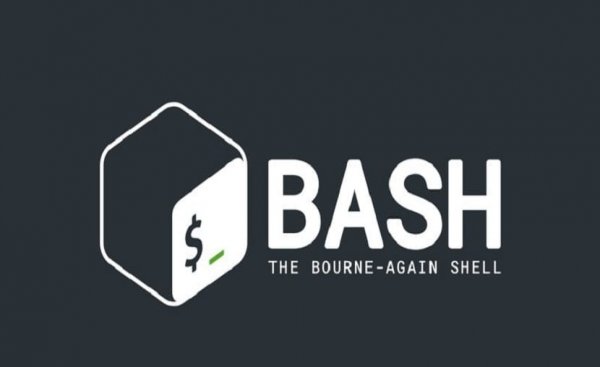دستورات پایه‌ای لینوکس، نکات مهمی که باید در مورد ‌bash بدانید